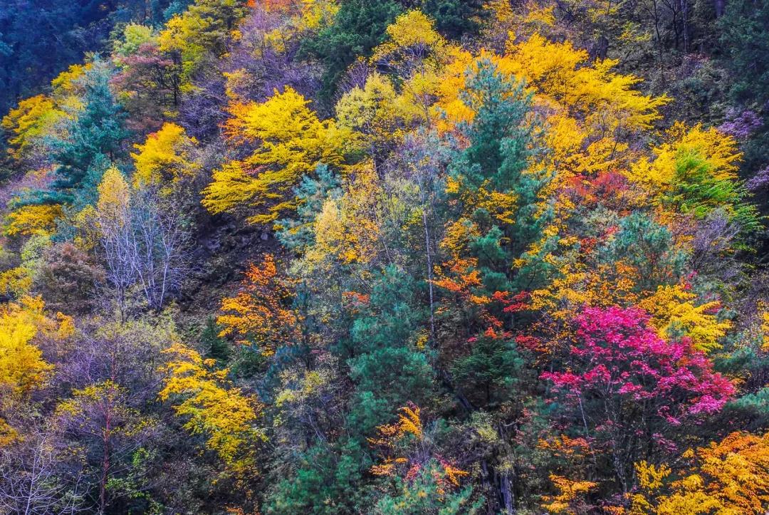 一个被上帝偏爱的地方,一个被上帝遗弃的城市