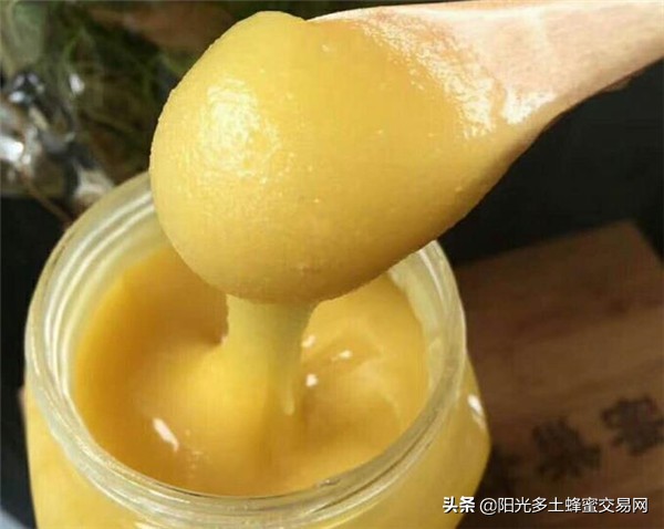 夏天必备冰镇柠檬茶,夏日必备解暑柠檬茶