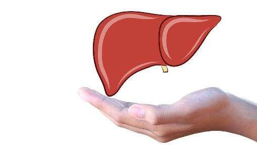 平常喝什么水养肝护肝,平常喝什么水养肝护肝最好