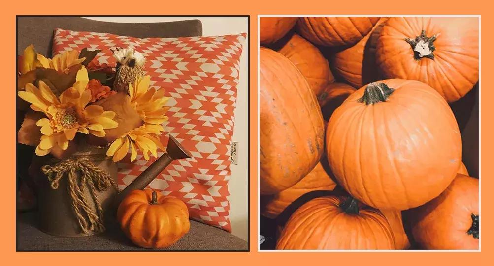 杨幂色和大表姐色口红哪个好看,杨幂用的枫叶色是什么口红