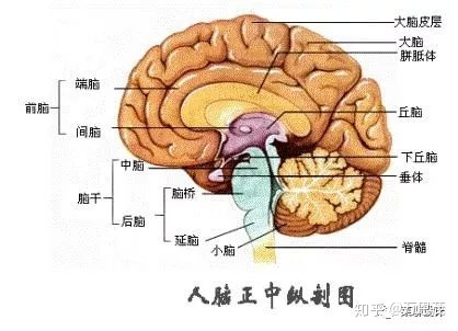 设计师电脑配置推荐2022年,设计类配置推荐