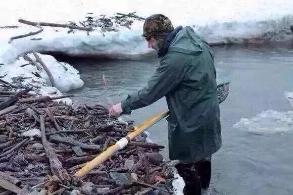 老蜜蜡与新蜜蜡区别是什么,老蜜蜡和新蜜蜡的区别有什么