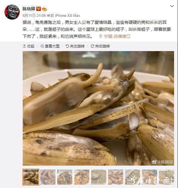 “吃客精”打卡宁波宁海长街！冲着陈晓卿口中“星球上最好吃的蛏子”而来