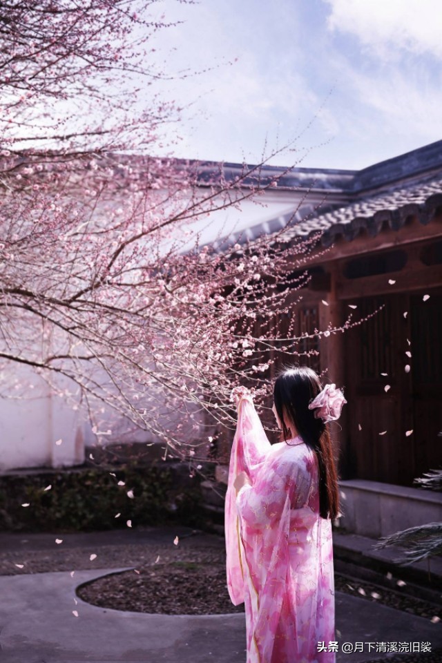 梅开二度，一段鲜为人知的爱情故事「梅花见证纯美的爱情」