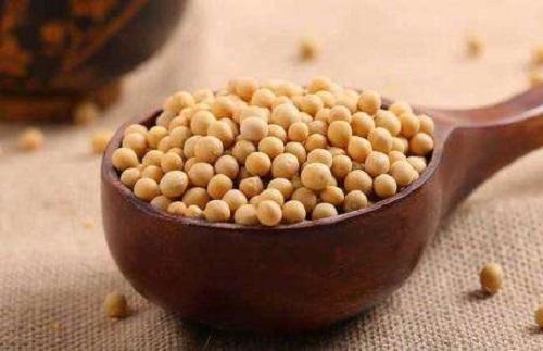 黄豆用水泡做肥料有臭味怎么处理,黄豆沤肥的臭味怎么消除