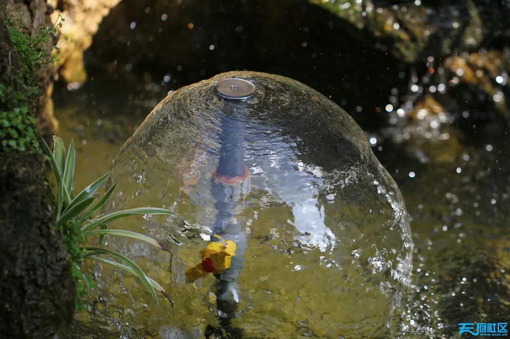 物种的起源视频,物种的起源