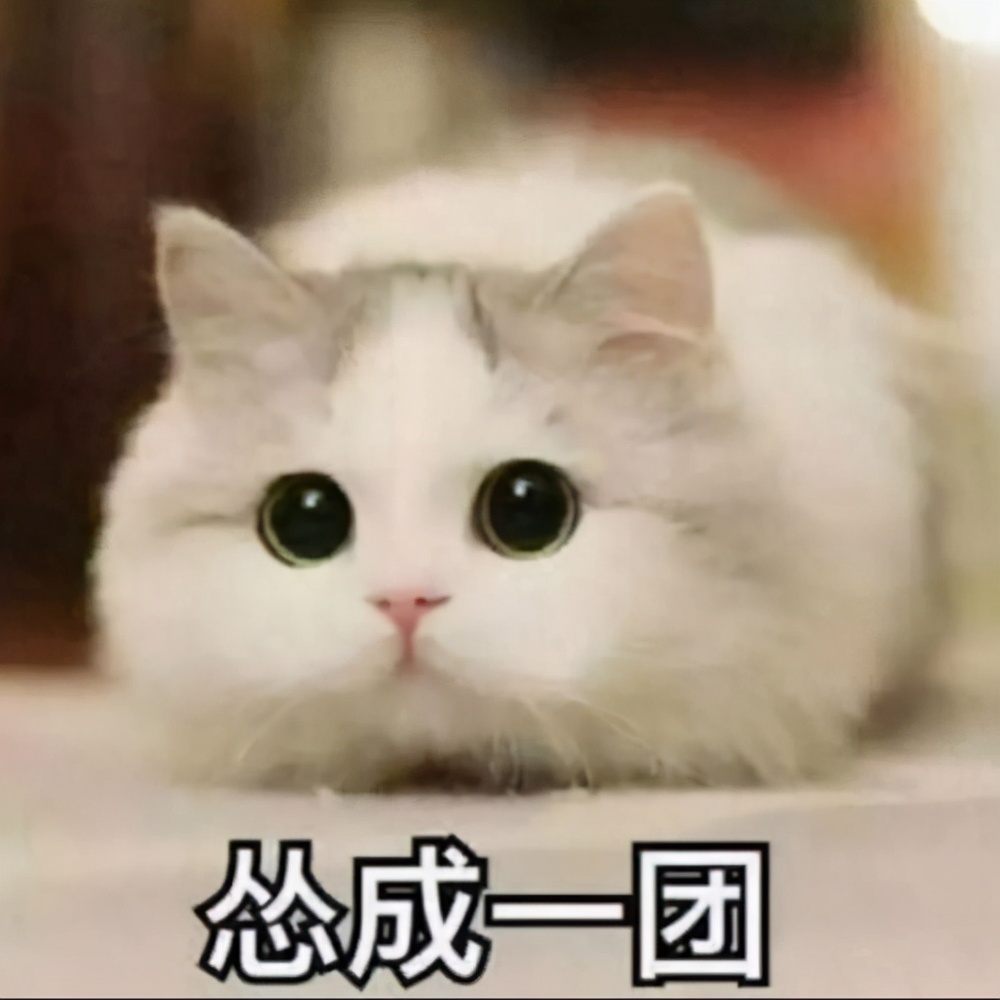 厦门大学网络教育,厦门大学网络教育如何报名