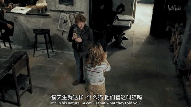 为什么哈利波特没有和赫敏在一起,为什么希望哈利波特和赫敏在一起