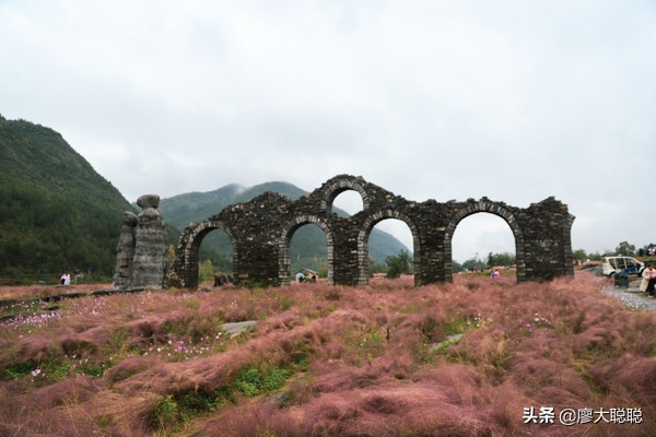 重庆这片花海你还没有来打开，那你就输了