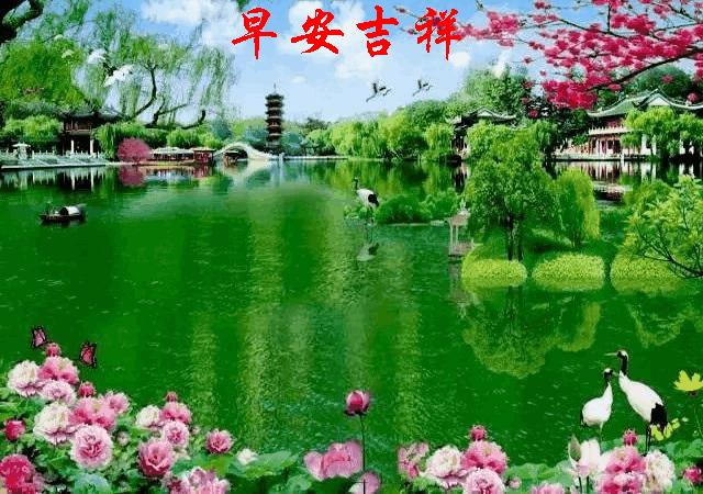 早安吉祥早上好动态图片,每日美丽漂亮早安祝福图片