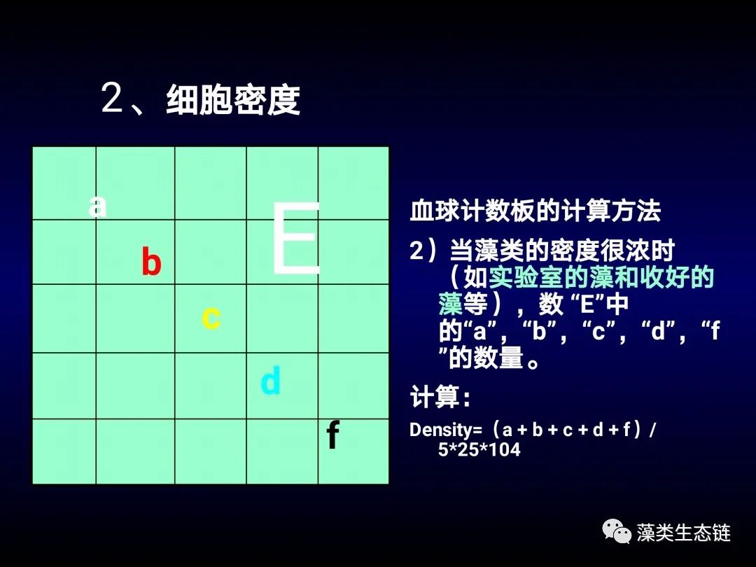 藻类培养课程视频教程,海南藻类生态链