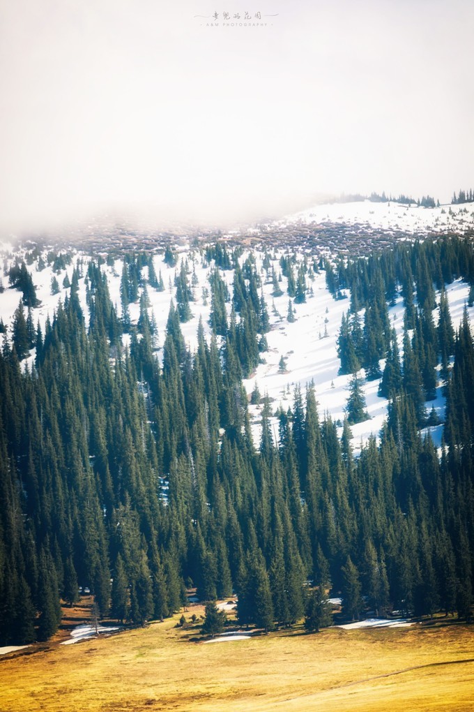 大美*疆新**，一个快递不包邮的地方，藏着不一样的异域风情