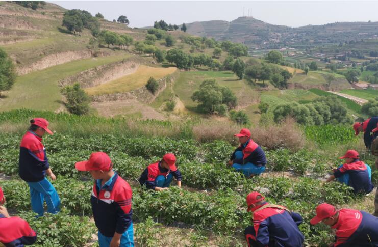 夏令营对身体的影响,不参加夏令营对保研影响大吗