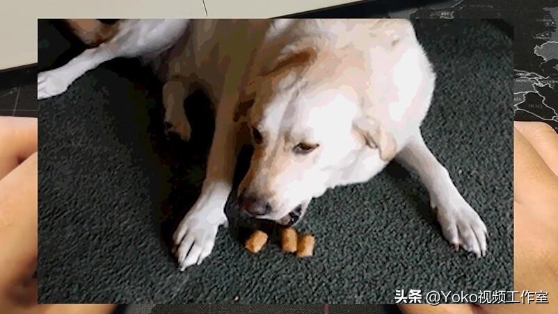 天选2不打游戏值得入手吗,天选2性能释放真的弱吗