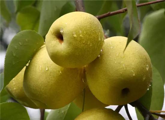 泰国钱100兑换人民币多少,泰国100元等于多少人民币