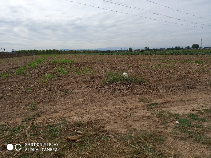 难忘的乡愁老家的味道,难忘的农村老家图片