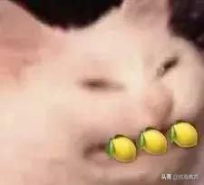 腾讯员工平均月薪近83888元,腾讯员工平均工资待遇