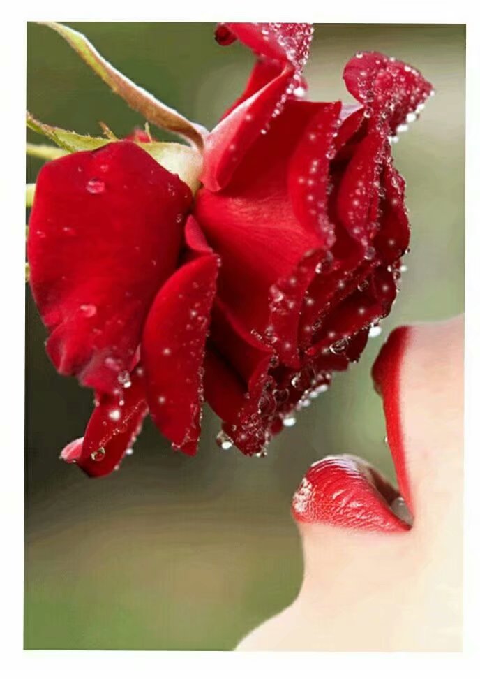 享用岁月静好浅笑安然,美文荐读让心在岁月中静好如初