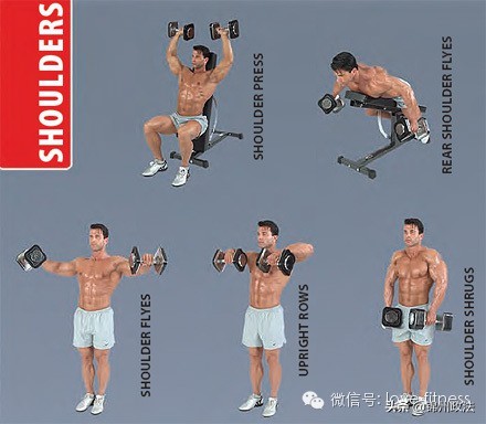 哑铃锻炼肱二头肌方法图解全套,哑铃下蹲锻炼方法图解