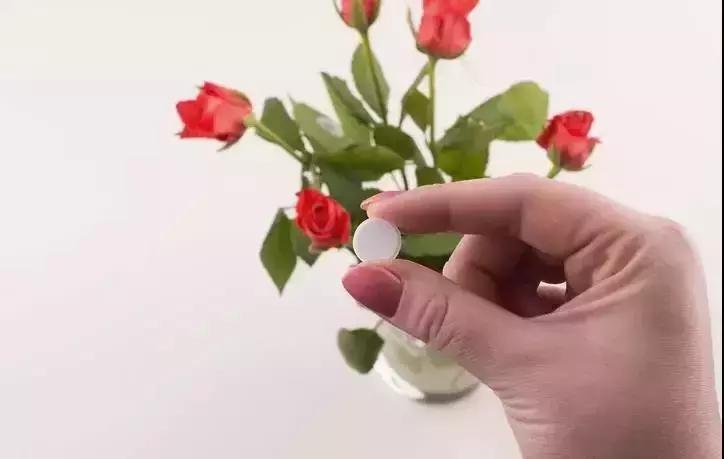 茉莉花长出白根可以扦插吗,茉莉花有白根枯杆还能返青吗