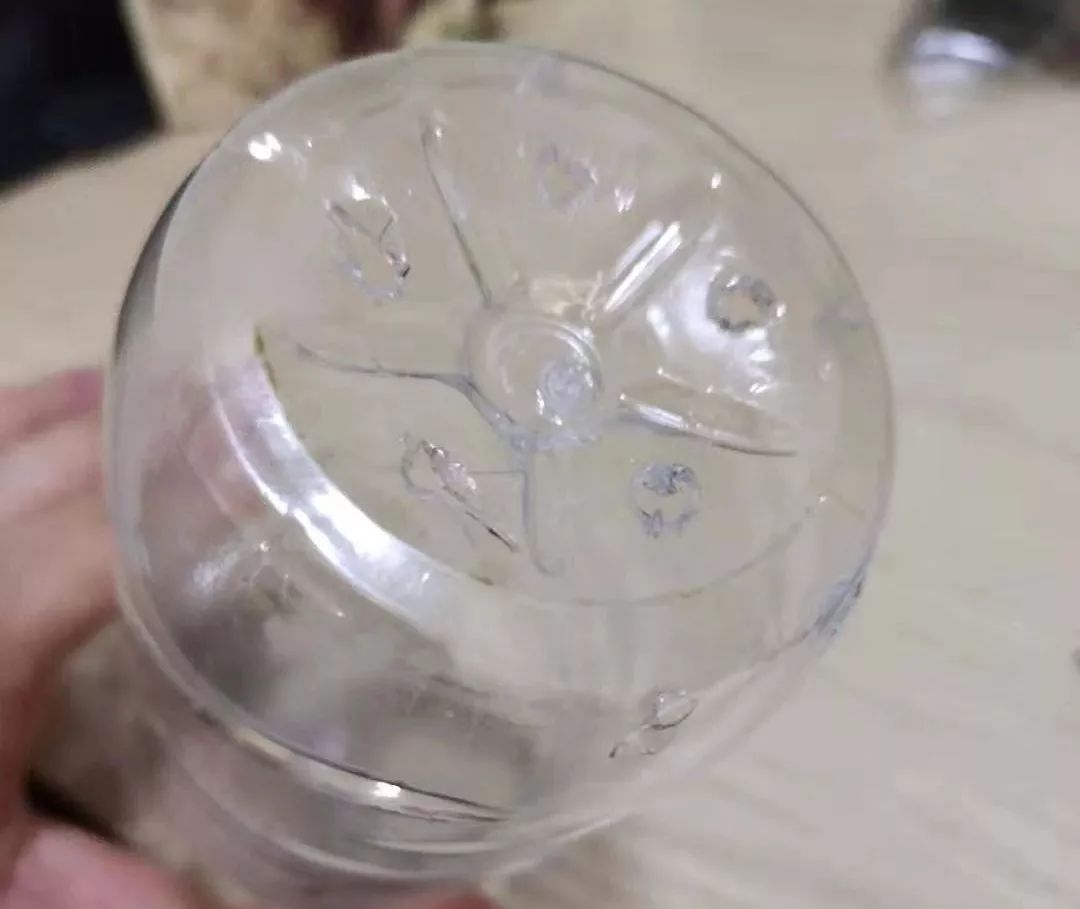 如何利用废弃的塑料瓶养花,可乐瓶养花神器