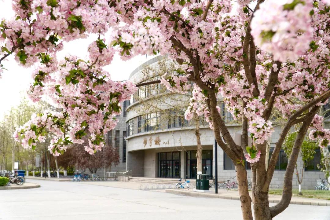 天津市普通高等院校（三）天津师范大学