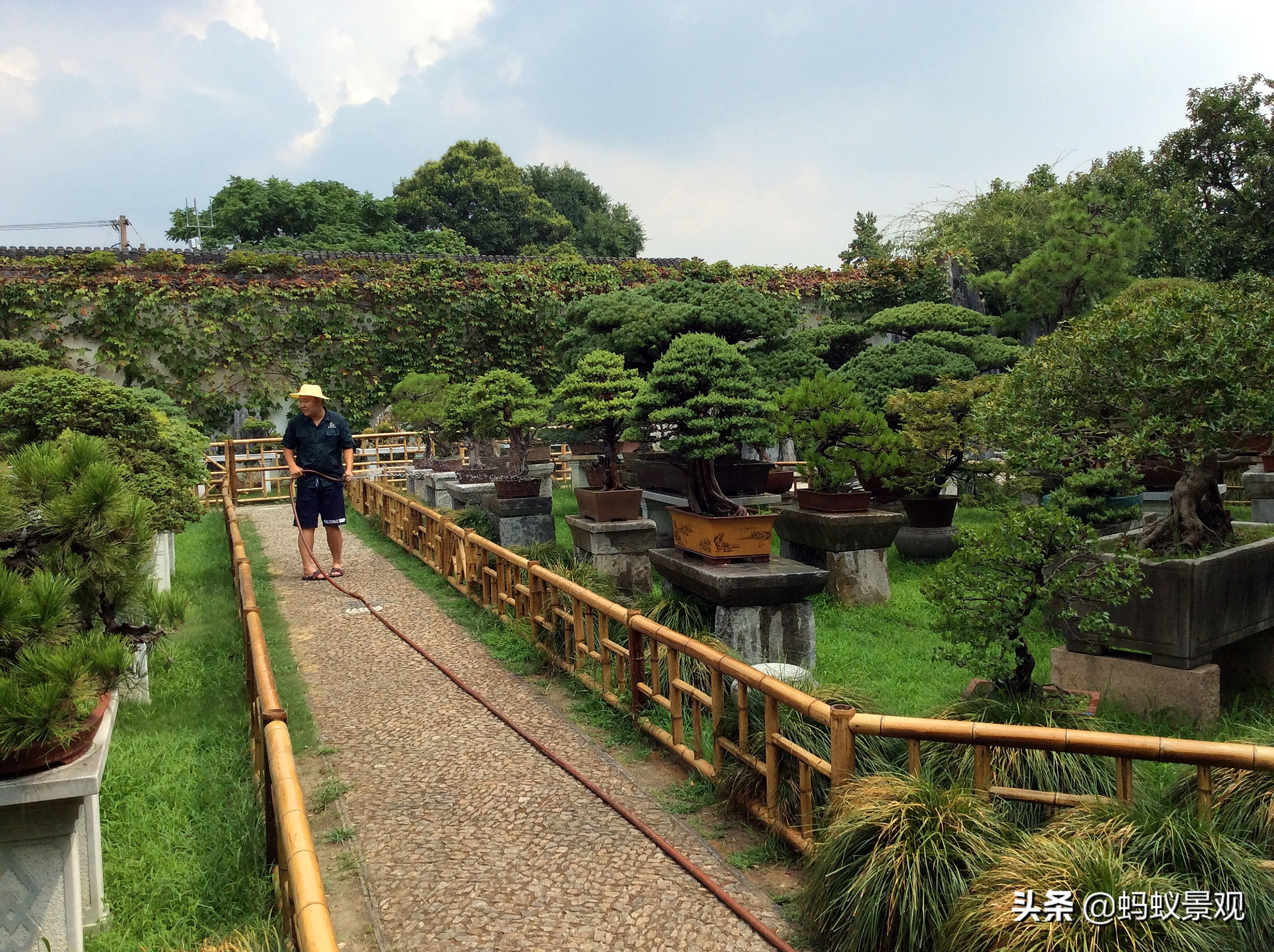留园建筑布局照片,留园建筑景观内容