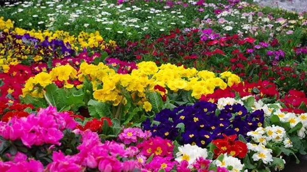 武汉最新最火的小吃一条街,武汉有一条街火了