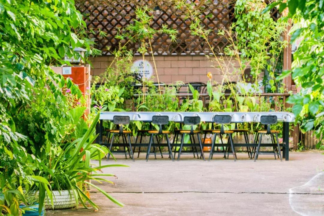 深圳市一日游攻略最佳路线,深圳一日游详细攻略大全最新