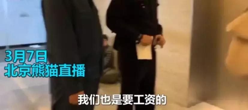 熊猫tv倒闭主播工资怎么办,熊猫tv解散后主播都去了哪里