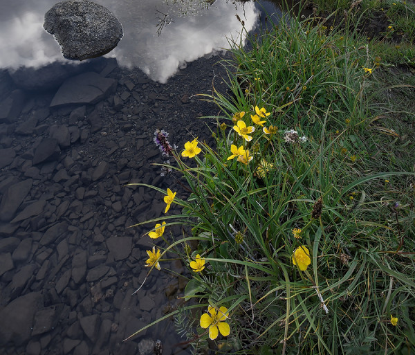 景深合成加全景拼接图,景深通道怎么合成图片