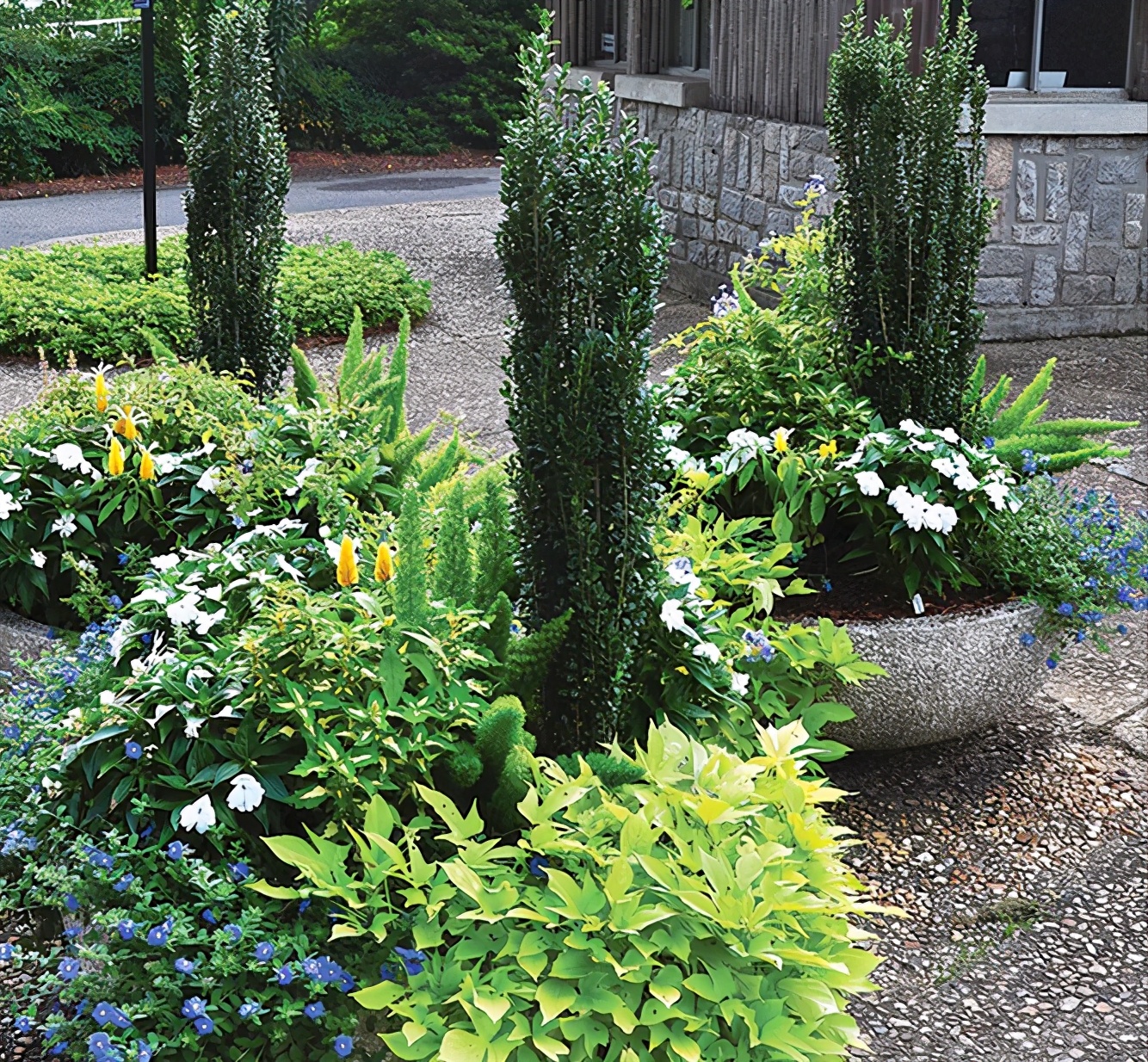 无需打理养护的庭院植物,懒人花园养什么植物好看