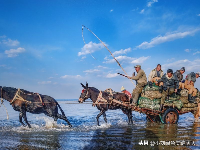 五一来北戴河赶海,五一去营口赶海