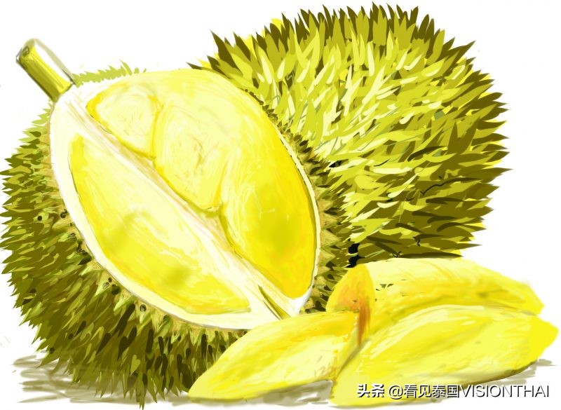 泰国榴莲和山竹果园,泰国水果山竹芒果