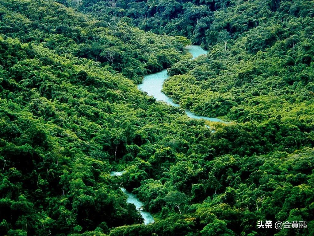 为什么云南女人长相好看,云南真的很漂亮吗