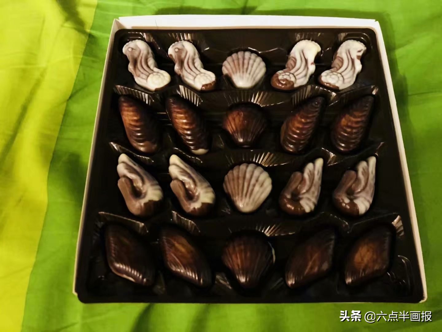 骑着单车去南非！格鲁吉亚入境！旅行日记（六十四）