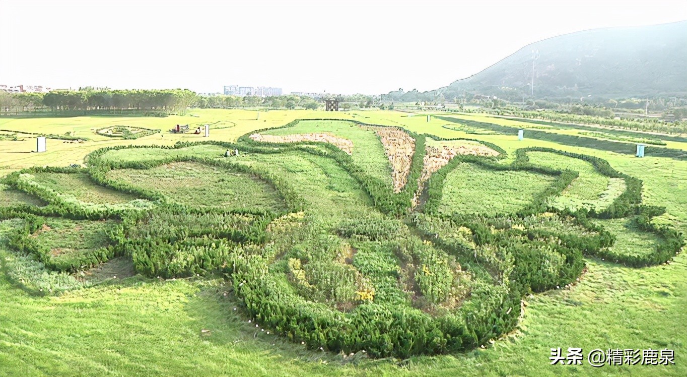 万紫千红迎国庆节图片,万紫千红迎国庆节丹桂飘香聚中秋