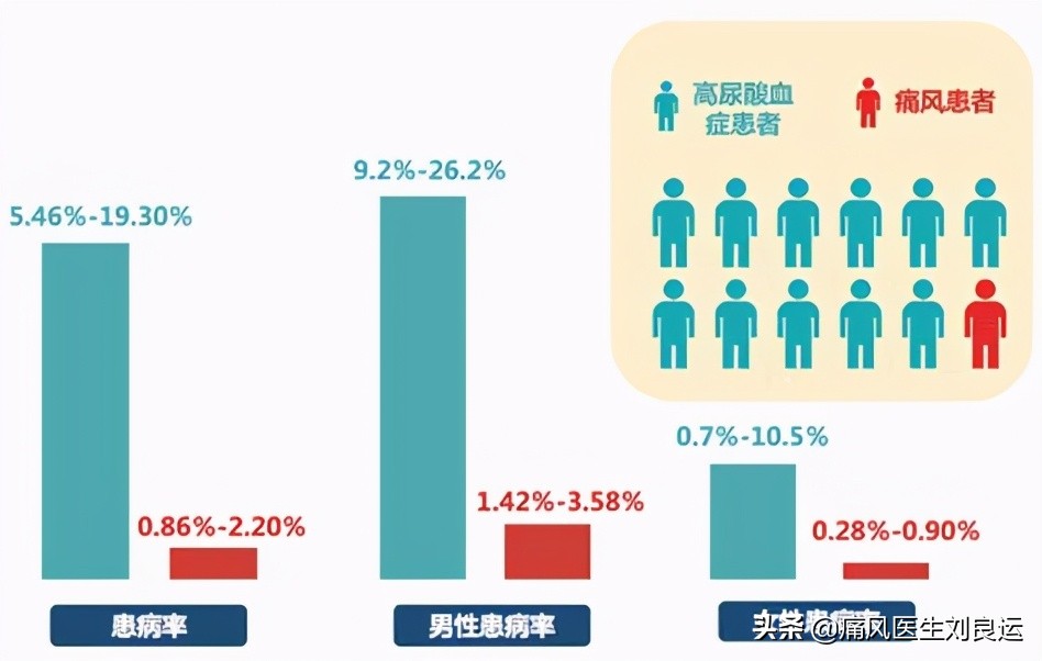 人到中年尿酸高六个生活管理要点,四十岁男人如何预防尿酸高