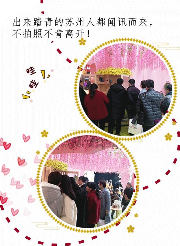 炸裂！因为一只猫，苏州人开启尖叫模式！