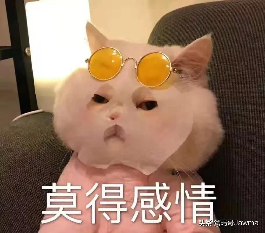 进击的人生！来康康零基础的我如何一口气通过法考