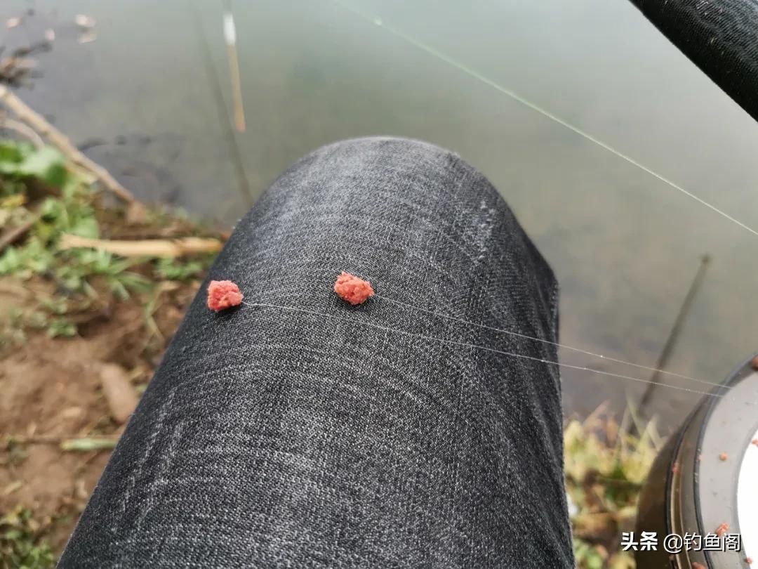 鱼线和鱼钩的最佳搭配,鱼钩搭配什么线好钓鱼