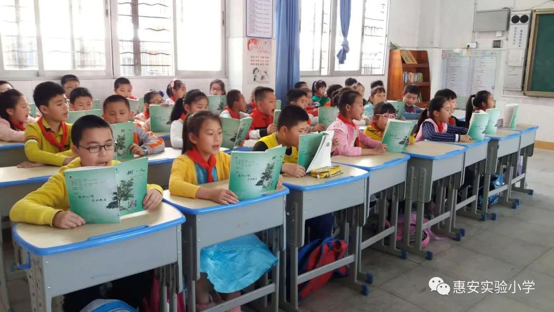 惠安实验小学怎样,实验小学育人体系