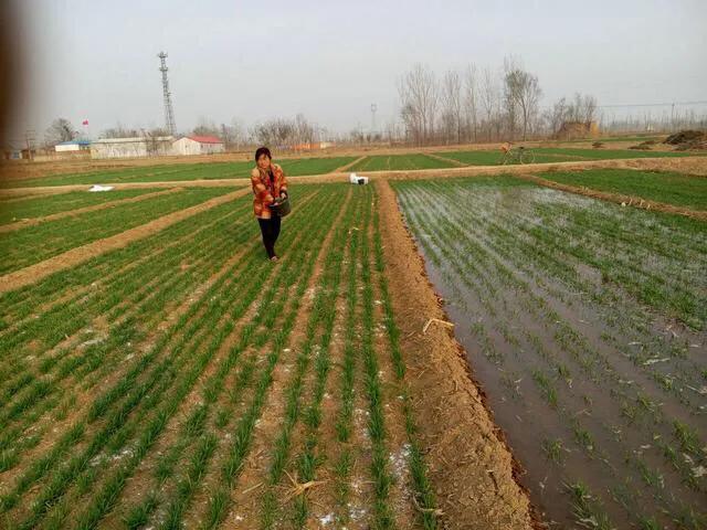今日春分，春分是啥意思？春分下雨好不好？看俗语怎么说