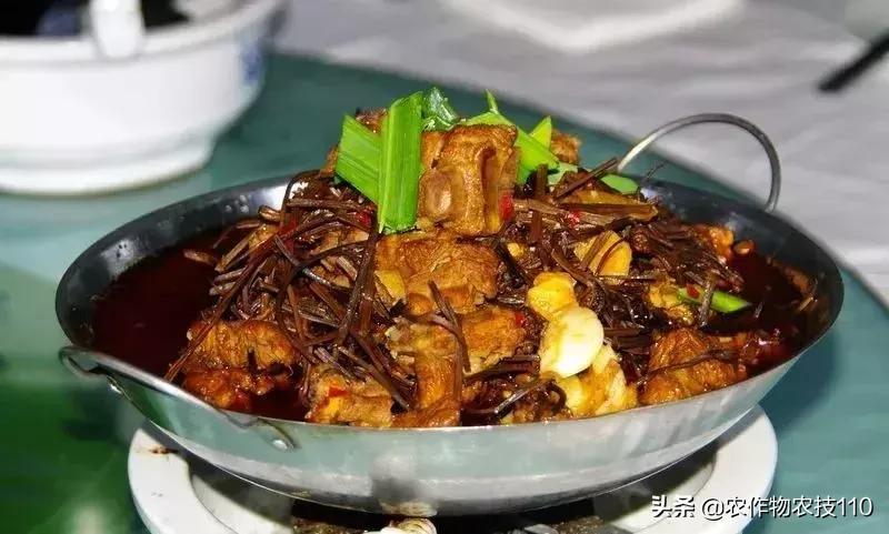 农村一千元小本创业加盟,农村冷门小本创业生意