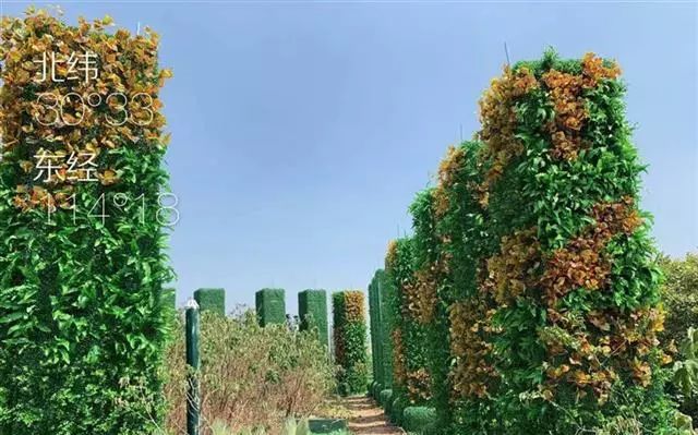 湖北电信5g云套餐十全十美199版,5G资费下调三大运营商回应