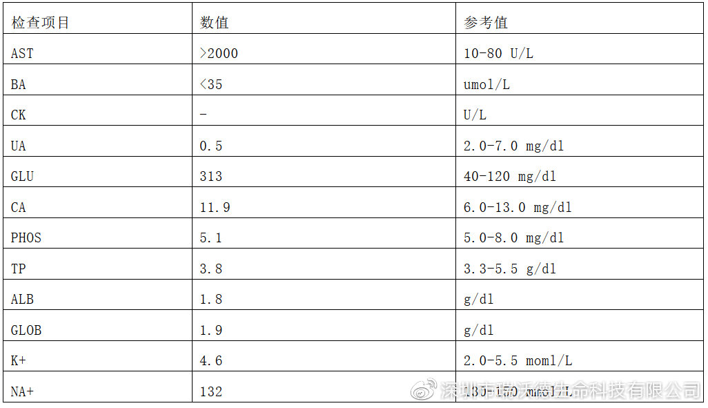 龟外伤修复,乌龟烂甲恢复初期