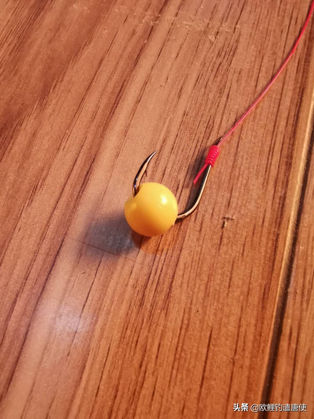 欧鲤钓适合中国吗,欧鲤钓入门