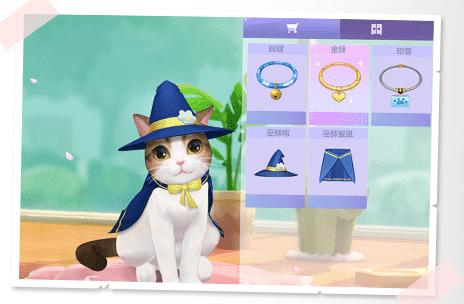 云养猫真的有便利吗,真养猫和云养猫的区别