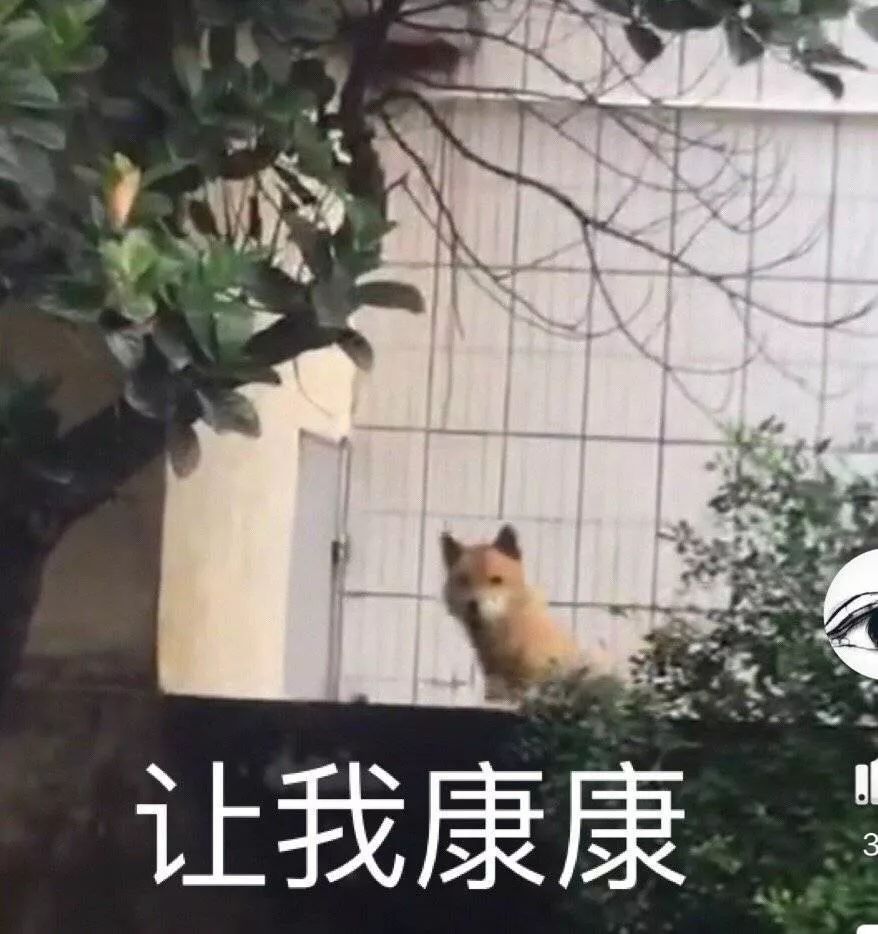 韩国装病逃兵役,韩国逃兵服兵役