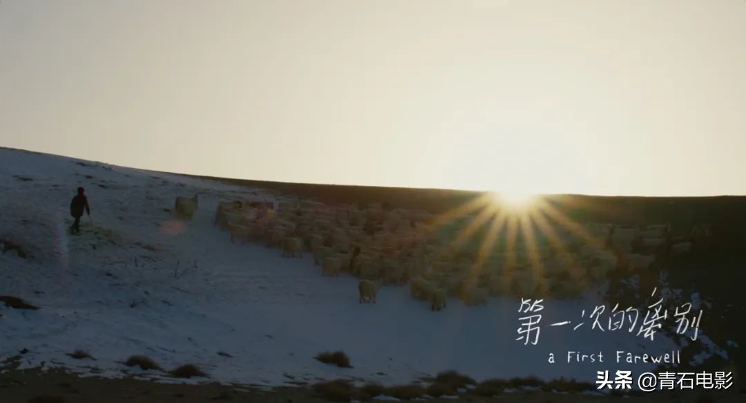 战狼2重映票房实时票房,战狼2每日排片率及票房